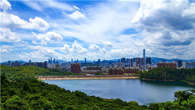 培养学生品茶技巧的机构排名及详细介绍 培养学生品茶技巧的机构排名及详细介绍